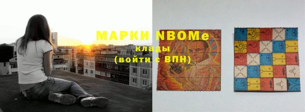 молекула духа Осташков