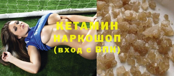 молекула духа Осташков