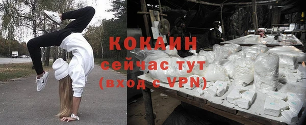 твердый Осинники