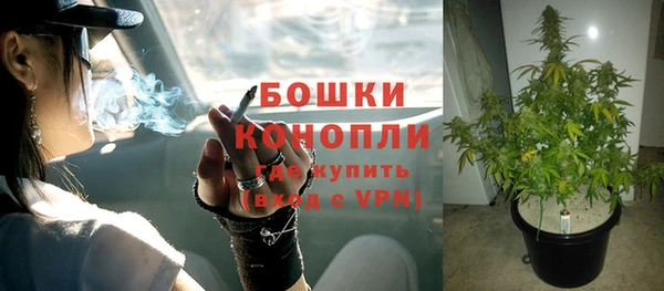 молекула духа Осташков